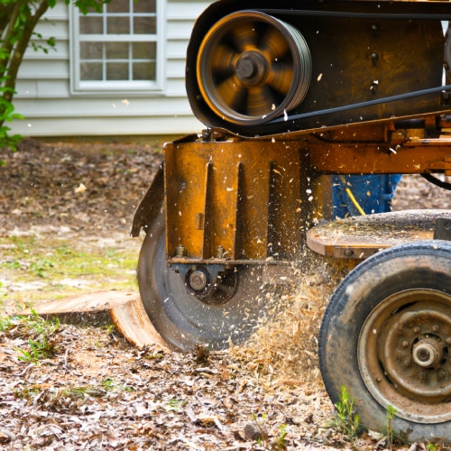 Stump Grinding